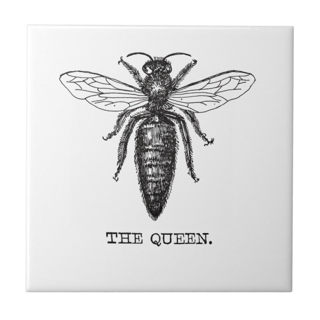 Carreau Dessin classique de l'illustration de Queen Bee (Devant)