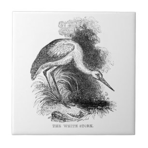 Carreau Dessin de faune d'oiseau vintage de Cigogne blanch