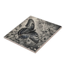 Dessin de papillon noir et blanc