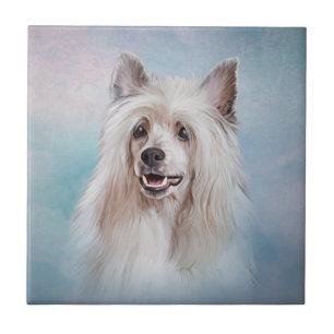 Carreau Dessin d'un chien à crête chinoise - Souris-cadeau