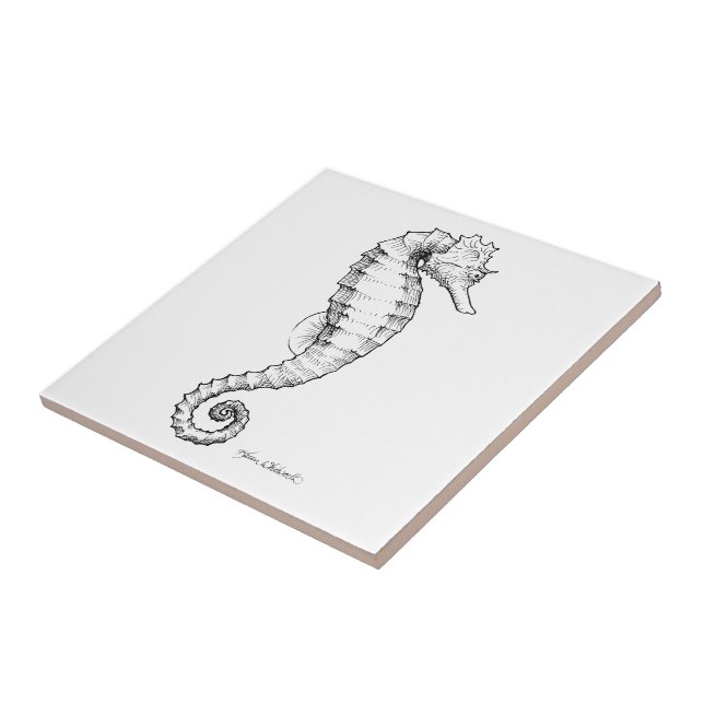 Carreau Dessin noir et blanc d hippocampe Zazzle.ca