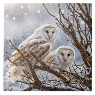 Carreau Deux Chouettes dans la neige assez saisonnière