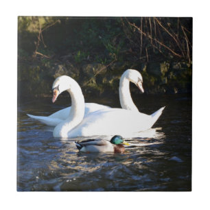 Carreau Deux cygnes et un canard