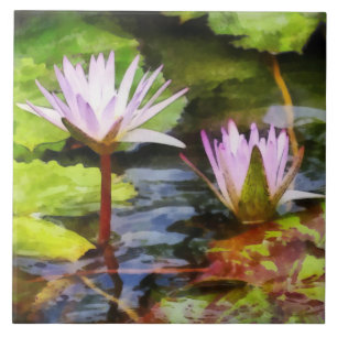 Carreau Deux lotus d'eau violets