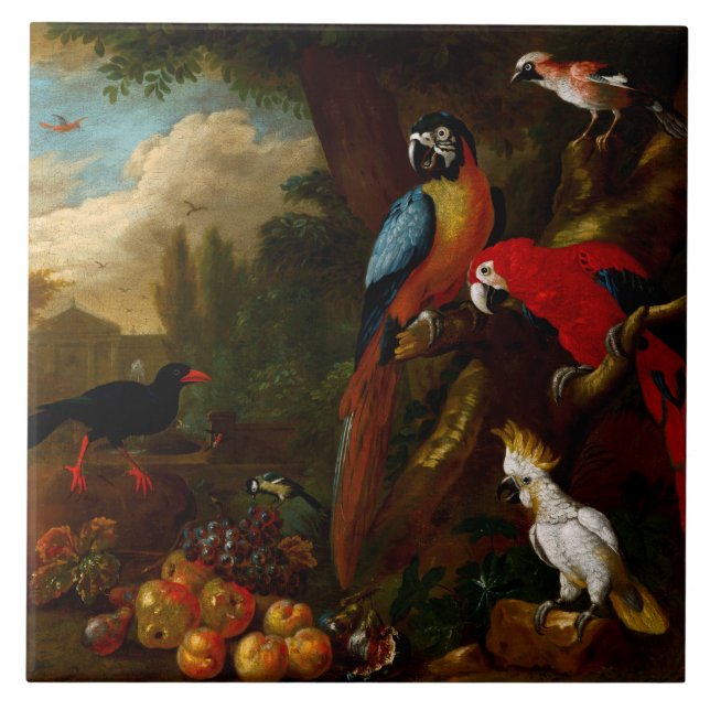 Carreau Deux Macaws un Cockatoo et une Jay aux fruits (Devant)