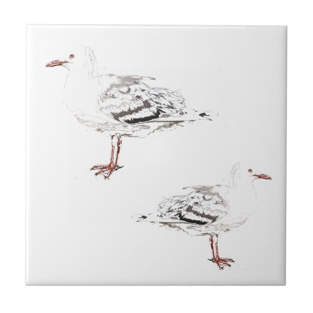 Carreau Deux mouettes Aquarelle Croquis Oiseaux (Devant)