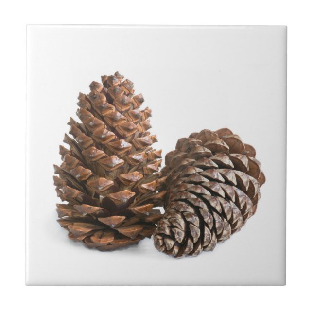 Carreau Deux pinecones (Devant)