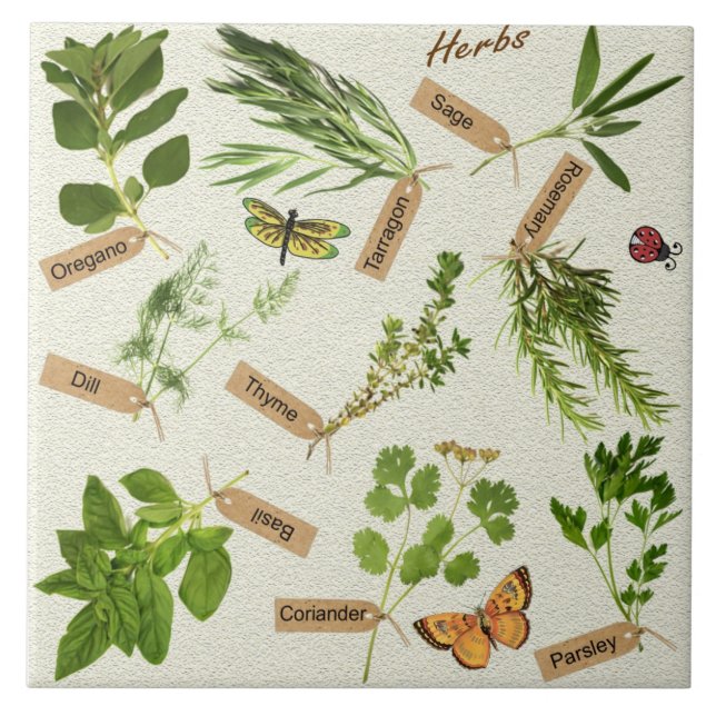 carreau d'herbes (Devant)