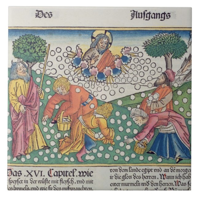 Carreau Dieu 13-22 de l'exode 16 fournit les cailles et la (Devant)