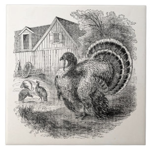 Carreau Dindes vintages - oiseaux personnalisés de la