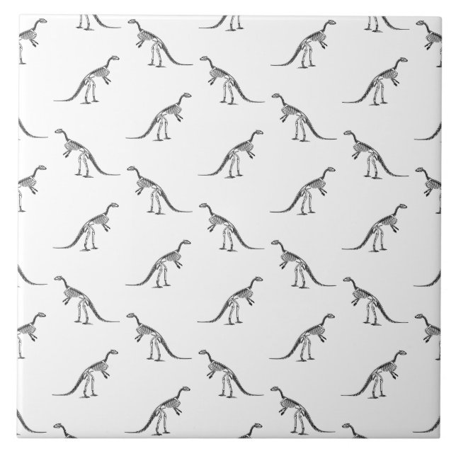 Carreau Dinosaur Skeletons Motif COULEUR ARRIÈRE - PLAN PE (Devant)