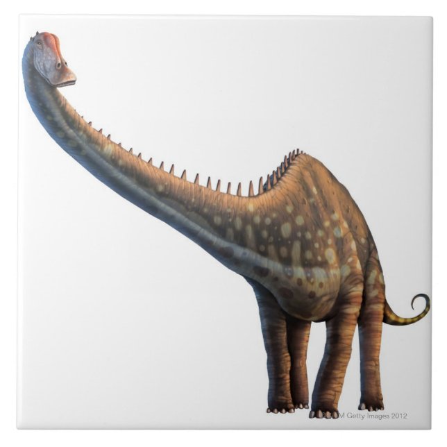 Carreau Diplodocus (Devant)