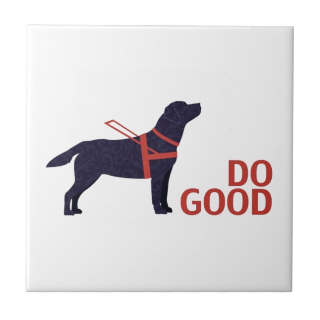 Carreau Do Good - Service Chig - Black Lab (Devant)