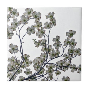 Carreau Dogwood à fleurs blanches