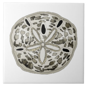 Carreau dollar de sable