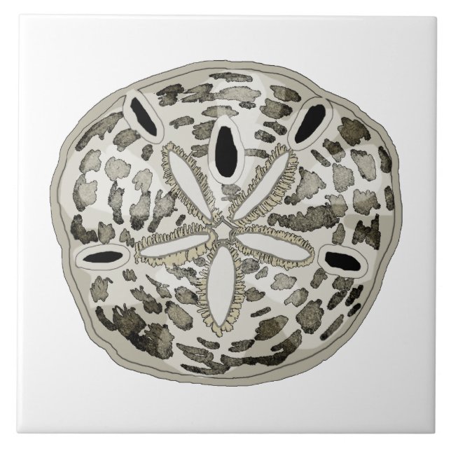 Carreau dollar de sable (Devant)