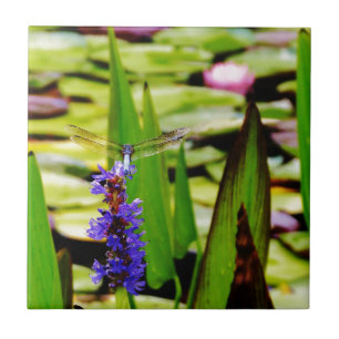 Carreau Dragonfly lotus and purple flower