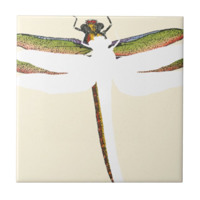 Carreau Dragonfly miniature sur Arrière - plan blanc (Devant)