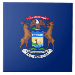 Carreau Drapeau de l'État du Michigan