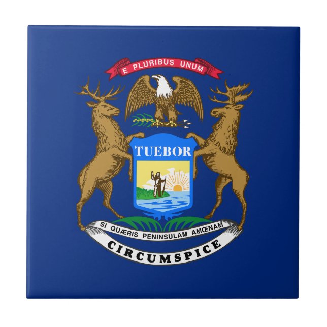 Carreau Drapeau de l'État du Michigan (Devant)