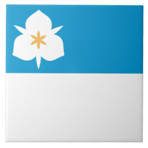 Carreau Drapeau de Salt Lake City (Utah)