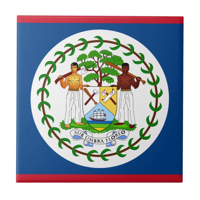 Carreau Drapeau du Belize (Devant)