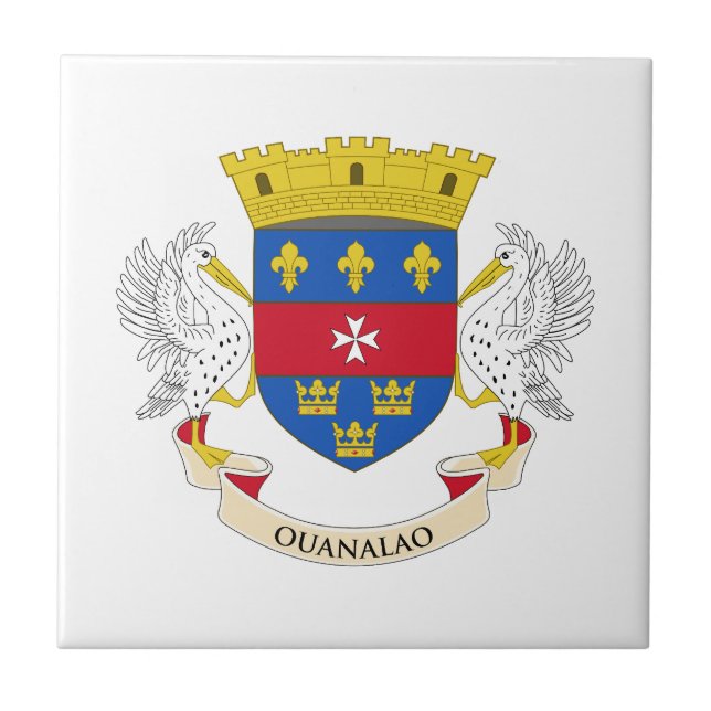 Carreau Drapeau Saint-Barthélemy (Devant)
