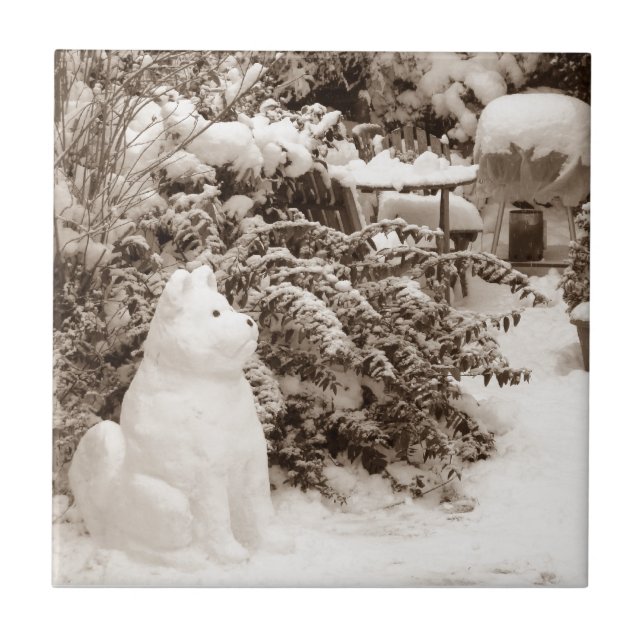 Carreau drôle akita snowdog bonhomme de neige Noël (Devant)