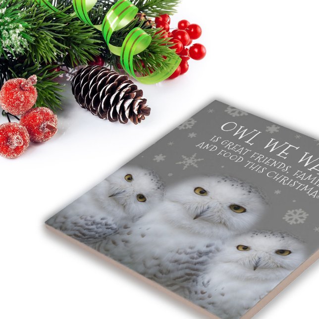 Carreau Drôle Chouette que nous voulons pour Noël ... Chou (Zazzle Funny Owl We Want for Christmas ... Snowy Owls Tile Cover Photo.)