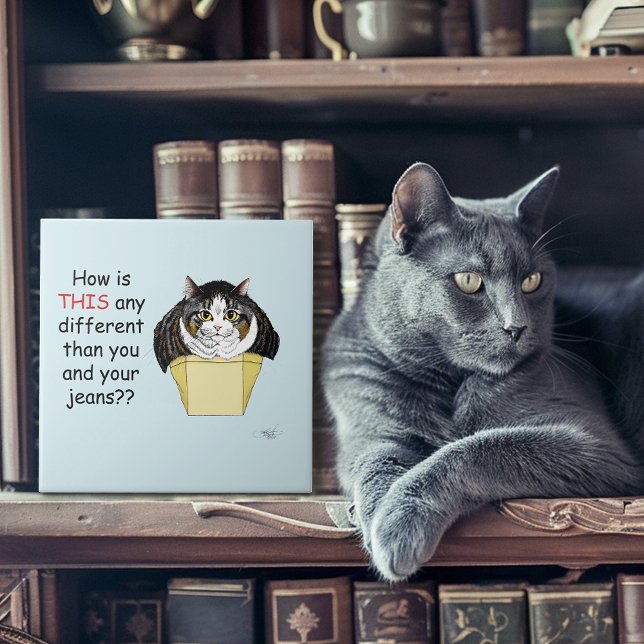 Carreau Drôle Chubby Tabby Boîte à chat (Créateur téléchargé)