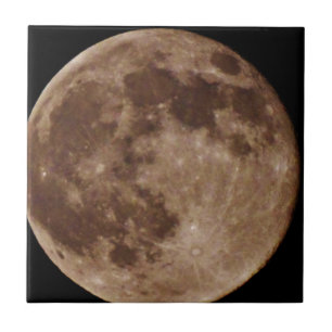 CARREAU DSC02662.JPG