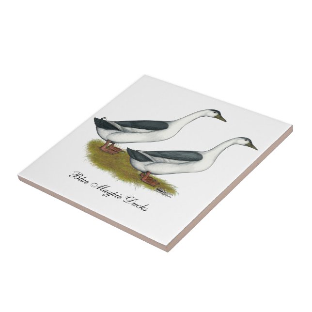 Carreau Ducks : Blue Magpies (Côté)