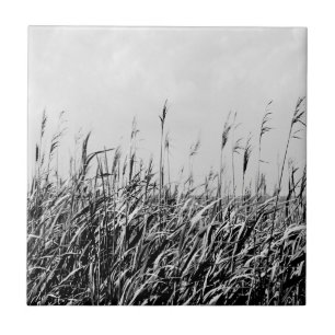 Carreau Dune Triptyque III