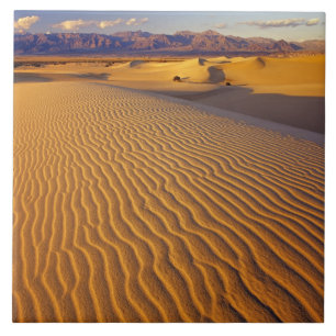 Carreau Dunes de Mesquite Flat Sand dans la vallée de la M