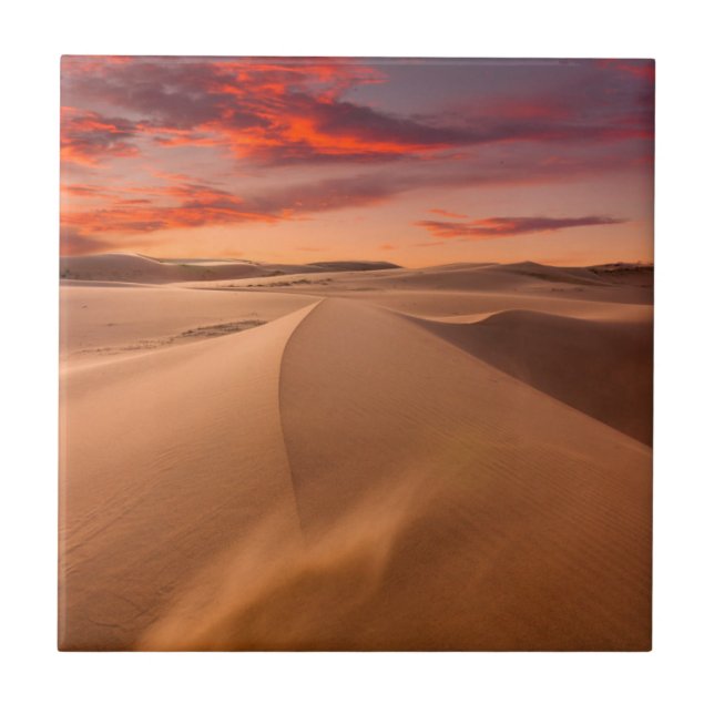 Carreau Dunes de sable dans le désert au coucher du soleil (Devant)