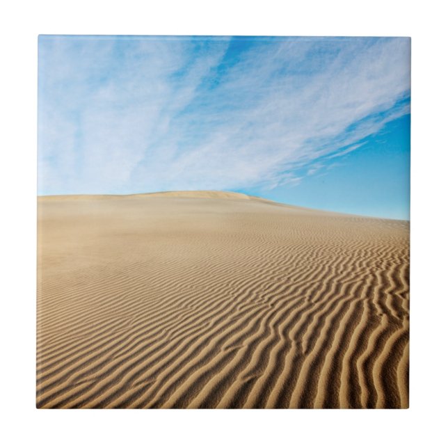 Carreau Dunes de sable d'appartements de mesquite (Devant)