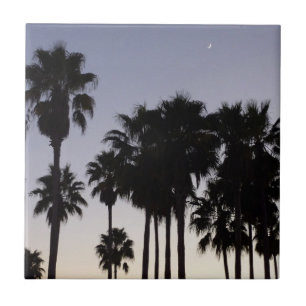 Carreau Dusk avec palmiers Scène tropicale