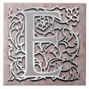 Carreau E Monogramme "Pierre d'Argent" Carrelage en cérami