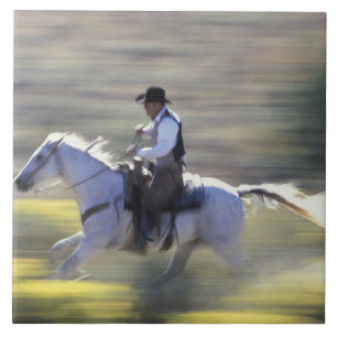 Carreau É.-U., États-Unis, Oregon, Seneca, Ponderosa Ranch