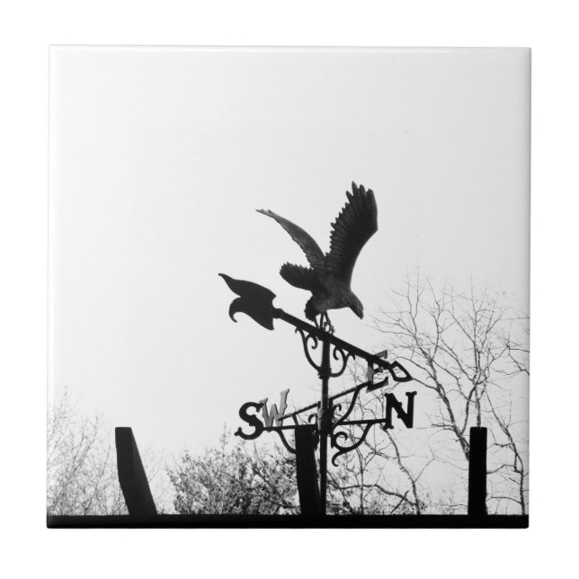 Carreau Eagle and Arrow (Devant)