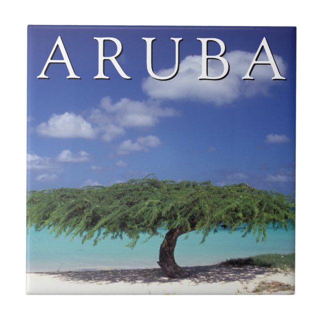 Carreau Eagle Beach | Caraïbes, Aruba (Devant)