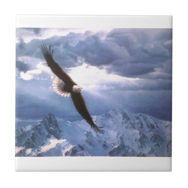 Carreau Eagle se tire d'affaire (Devant)