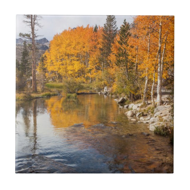 Carreau Eastern Sierra, Bishop Creek, California Outlet (Devant)