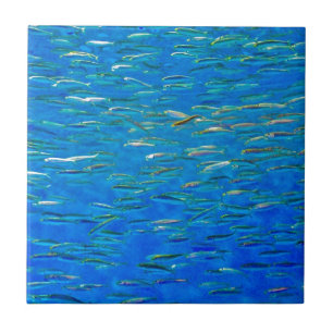 Carreau École de tuile de poissons