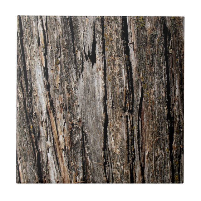 Carreau Écorce d'arbre (Devant)