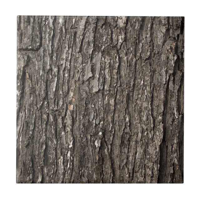 Carreau Écorce d'arbre épaisse (Devant)