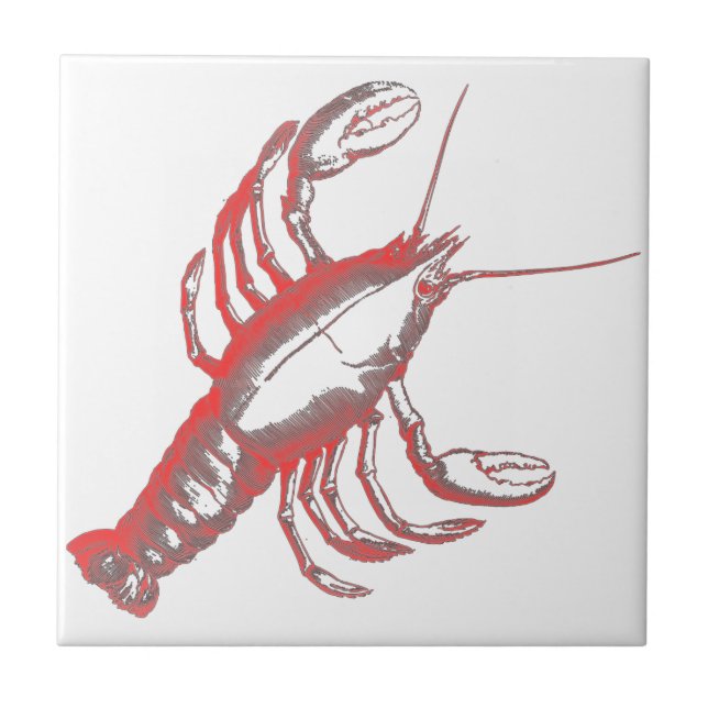 Carreau Écrepoisson (Devant)