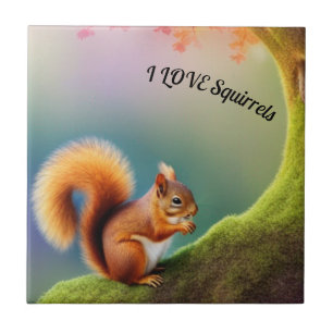 Carreau Écureuil