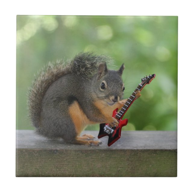 Carreau Écureuil jouant la guitare électrique (Devant)