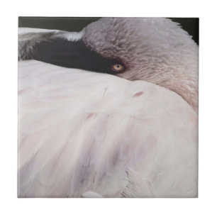 Carreau Effet de dessin de portrait de flamant rose Art